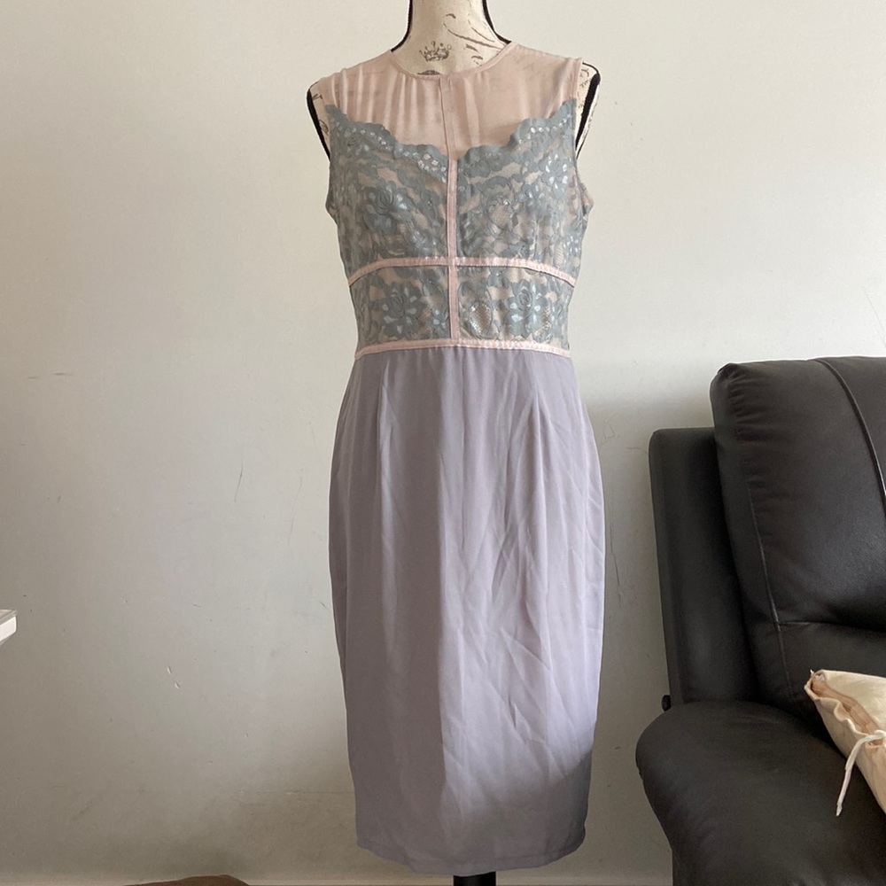 Elise Ryan Bodycon Lace Dress Size M (10)